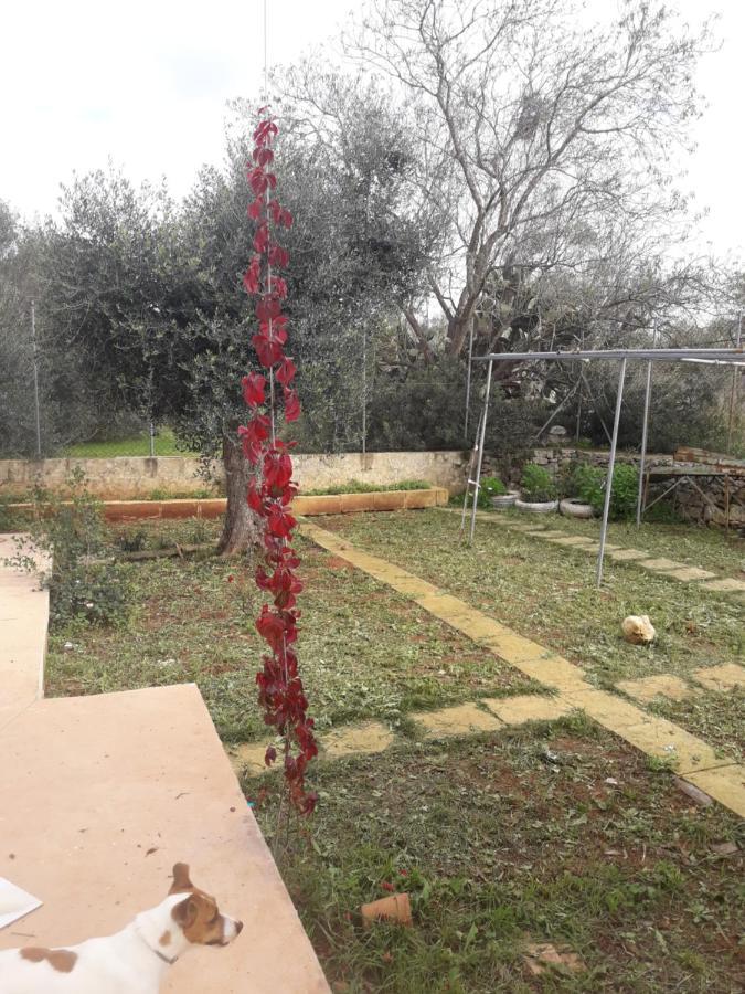 Microborgopasca Bed and Breakfast Sannicola Εξωτερικό φωτογραφία