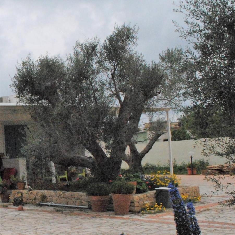 Microborgopasca Bed and Breakfast Sannicola Εξωτερικό φωτογραφία