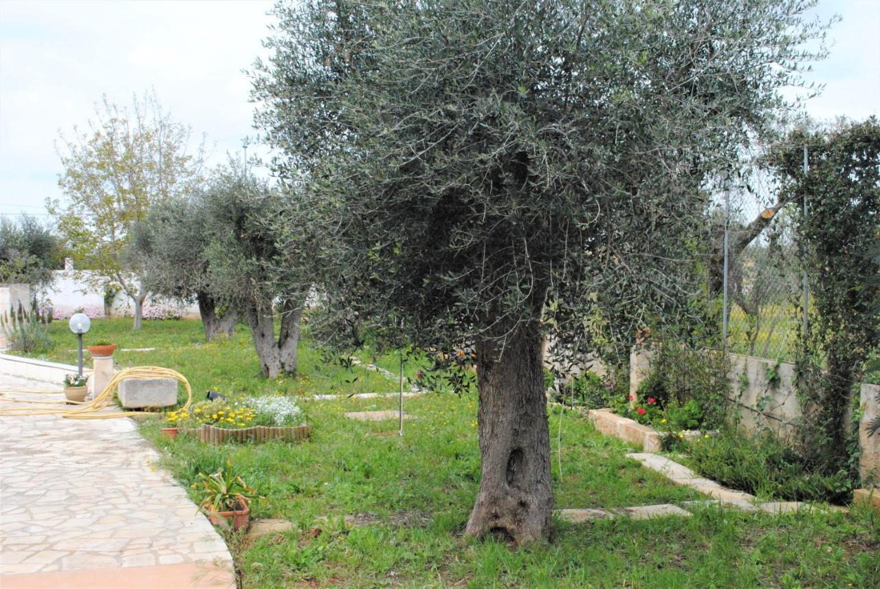 Microborgopasca Bed and Breakfast Sannicola Εξωτερικό φωτογραφία