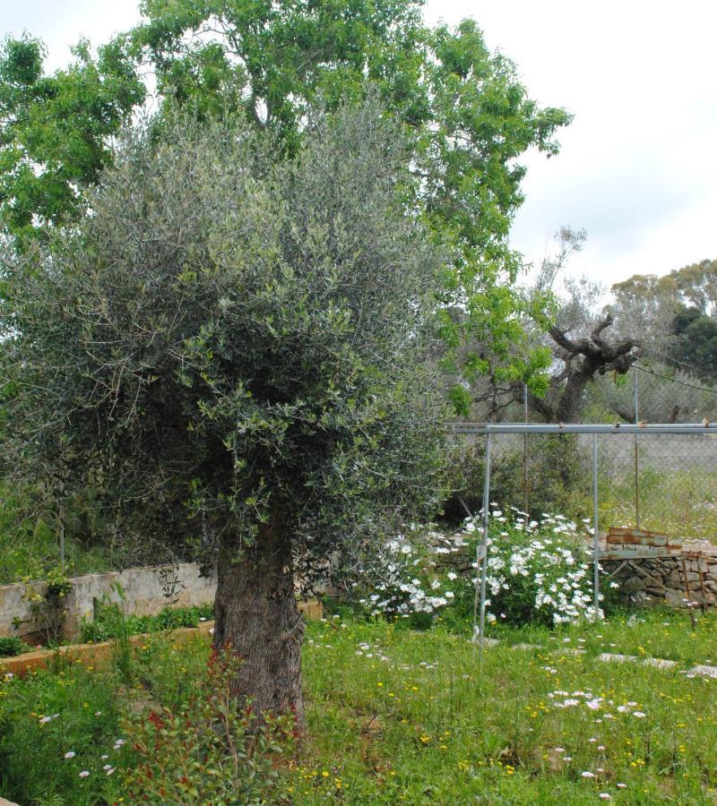 Microborgopasca Bed and Breakfast Sannicola Εξωτερικό φωτογραφία